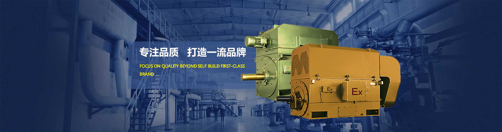 Kalite Yüksek Voltajlı AC Motor fabrika