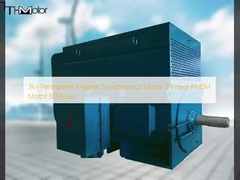 3kv Kalıcı Mıknatıslı Senkron Motor 3 Fazlı PMSM Motor 60 Kutuplu