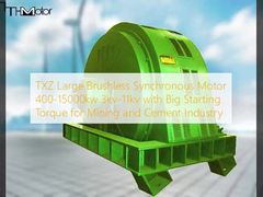 TXZ Büyük Fırçasız Senkron Motor 400-15000kw 3kv-11kv, Madencilik ve Çimento Endüstrisi için Yüksek Kalkış Torku