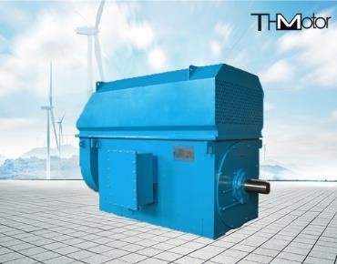 IP23 Enerji Tasarrufu Düşük Gürültü 100rpm - 3000rpm Yüksek Gerilim Elektrik Motorları 50Hz 10KV