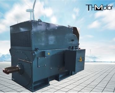 Y800 6000kw Büyük Sincap Kafesi Yüksek Gerilim Elektrik Motorları 1500r / Min IP54