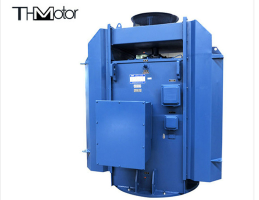 2800kw Dikey Montajlı 3 Fazlı Asinkron İndüksiyon Motorları IP55 IP54