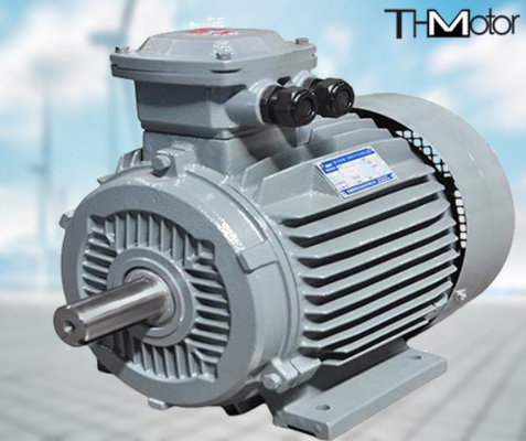 GB30254 Yüksek Gerilim Aleve Dayanıklı Elektrik Motorlu Pompa IP65 165kW