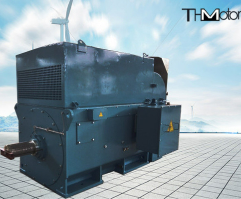 Y800 400kw ila 6000kw Sincap Kafesi Yüksek Gerilim Elektrik Motorları 1500r / Min 3600rpm