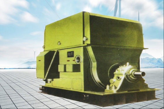 Sincap Kafesi Yüksek Hızlı Elektrik Motorları Yüksek Gerilim Elektrik Motorları 6KV 10KV IP23 IP54 IP55