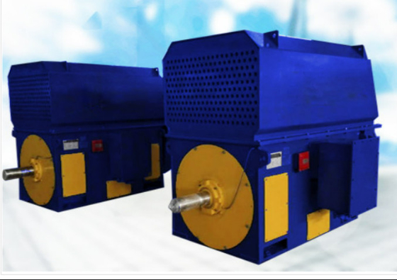 TMW Fırçasız AC Senkron Motor Büyük Ölçekli 300r/Dk 10 KV IEC GB