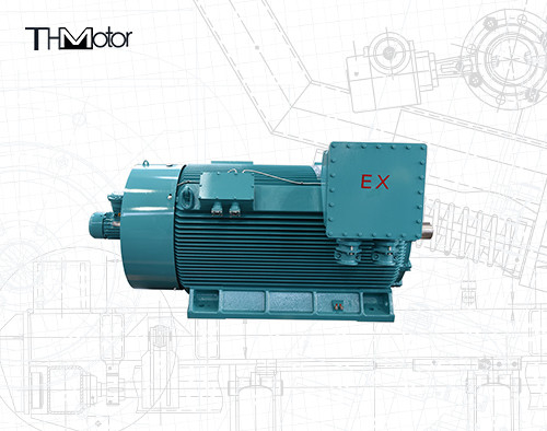 1000kw - 12000kw ExdIIBT4 Gb Aleve Dayanıklı Elektrik Motoru 1500rpm VFD Motor​