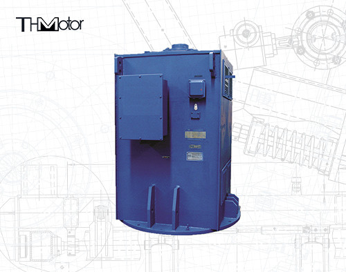 2800kw Dikey Montajlı 3 Fazlı Asinkron İndüksiyon Motorları IP55 IP54