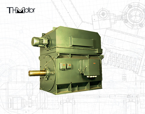 YPKK Kafes Değiştiricisi Üç Fazlı Asinkron Motor 3000RPM IP55 6000KW