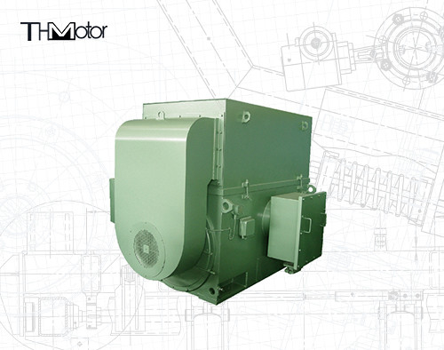 11000v Değişken Hızlı Üç Fazlı Asenkron Motor IP55