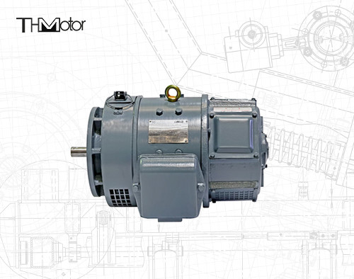 CE IEC Z2 Serisi Küçük Yüksek Gerilim DC Motor 115v 220v z2 küçük dc motorlar