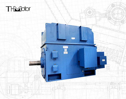 3000V 6000V 1500rpm Aleve Dayanıklı Elektrik Motoru Asenkron P44 IP54 IP55