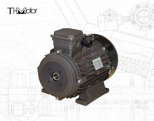 Endüstriyel uygulamalar için güç boş şaft/sert şaft IP54/IP55 Voltaj DC Motoru