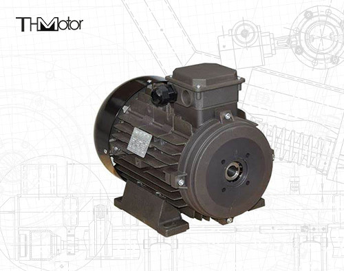 Endüstriyel uygulamalar için güç boş şaft/sert şaft IP54/IP55 Voltaj DC Motoru