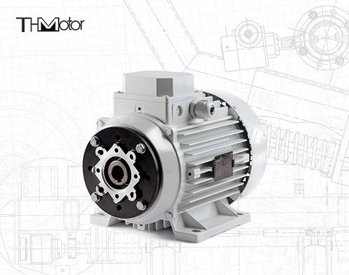 1000-12000kw 4/6 kutup Voltaj DC Motor Ağır görevli uygulamalar için boş şaft / katı şaft