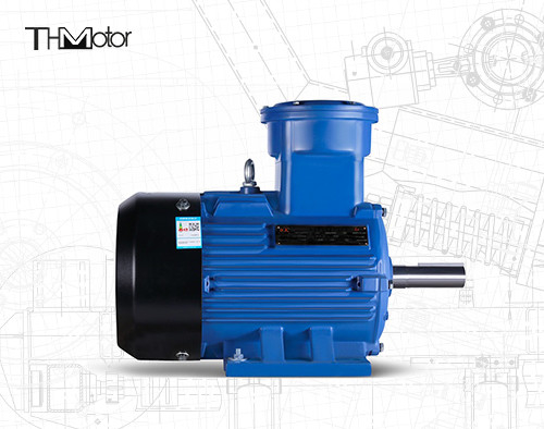 165kW Aleve Dayanıklı Su Pompası Asenkron Motor GB30254