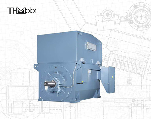 10000V 6000V 3000V Aleve Dayanıklı Elektrik Motoru Yüksek Gerilim IMB3