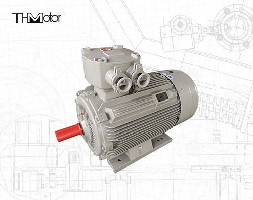 YBF Blower Fan Asenkron Aleve Dayanıklı Elektrik Motoru IP44 IP54 IP55