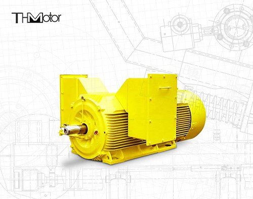 20P 3 Fazlı Sincap Kafesi Aleve Dayanıklı Elektrik Motoru 5600KW
