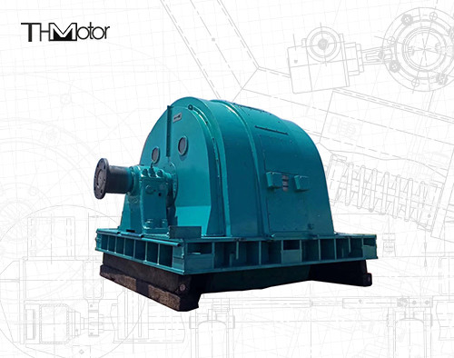 TAW Madencilik Değirmeni Büyük Fırçasız Senkron Motor IP44 IP54 IP55