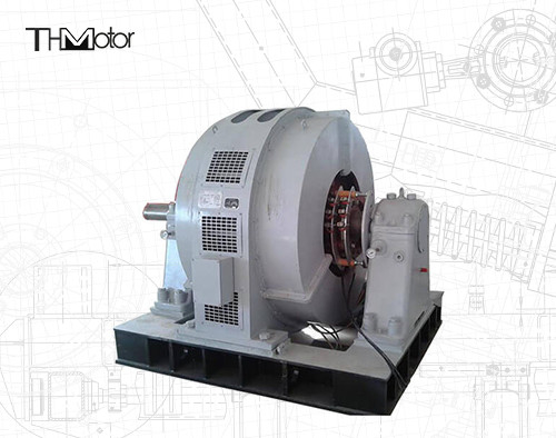 Blast Blower Çelik Fabrikası için TDG Büyük Ölçekli Senkron Motor 6kv