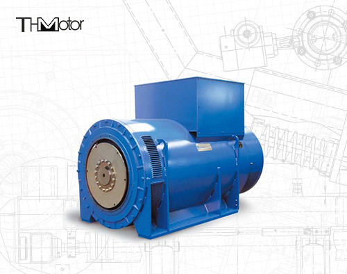 400-15000kw Güç aralığı 14A nominal akımlı alternatif akımlı senkron motor