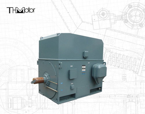 Endüstriyel sincap kafes elektrikli motoru 3000RPM 1250KW 142A IP55 Sürekli S1