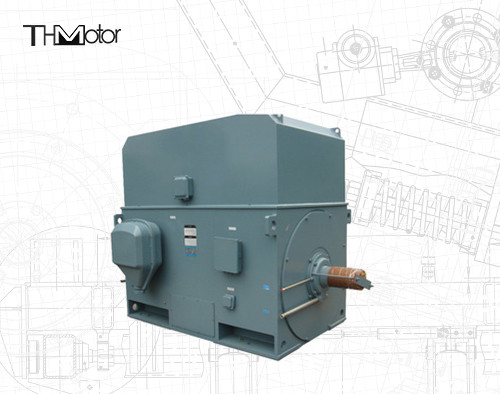 Endüstriyel sincap kafes elektrikli motoru 3000RPM 1250KW 142A IP55 Sürekli S1