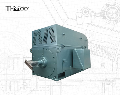 Sincap Kafesi Yüksek Hızlı Elektrik Motorları Yüksek Gerilim Elektrik Motorları 6KV 10KV IP23 IP54 IP55