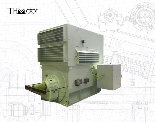 WPI WPII Serisi Endüstriyel Kullanım İçin Üç Fazlı Asenkron Motorlar