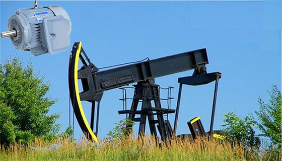 Petrol Kuyusu Pompası için NEMA Premium Yüksek Torklu Yüksek Kayma Asenkron Motor IP55