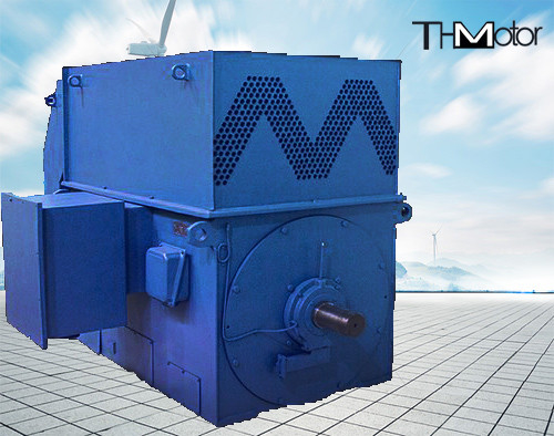 6KV 10KV Sincap Kafesi Yüksek Hızlı Elektrik Motorları IP23 IP54 IP55