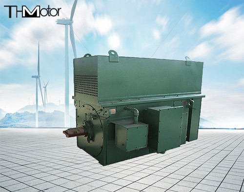 Y900 Y1000 Kömür Madenciliği Üç Fazlı Asenkron Yüksek Gerilim Elektrik Motorları 900kw 1250kw