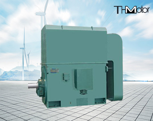 50hz 5000kw Yüksek Gerilim Elektrik Motorları