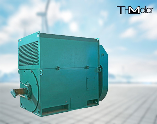 11000v Değişken Hızlı Üç Fazlı Asenkron Motor IP55