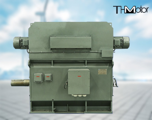 YPKK Kafes Değiştiricisi Üç Fazlı Asinkron Motor 3000RPM IP55 6000KW