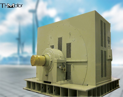 Çimento Endüstrisinde Kullanılan TM AC Motor 3 Faz 3KV 6KV 10KV 300r/Dk