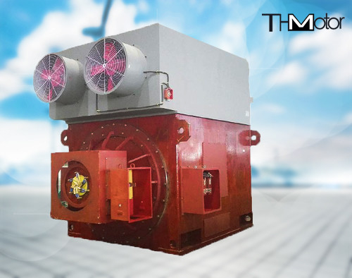 YRKK Yara Rotor Asenkron Motor 10KV