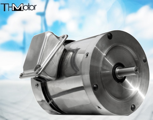 Farmasötik Sincap Kafesli Rotor Özel Uygulama Motorları 30HP 286TC