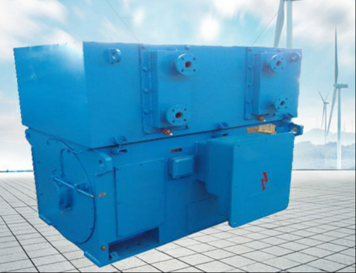 4 ila 16 Kutuplu Senkron AC Üç Fazlı İndüksiyon Yüksek Gerilim AC Motor 100rpm ila 3600rpm