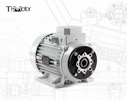 1000-12000kw 4/6 kutup Voltaj DC Motor Ağır görevli uygulamalar için boş şaft / katı şaft