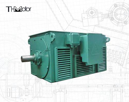 Yüksek gerilimli elektrikli motorlar IP23 Hız aralığı 100rpm-3600rpm