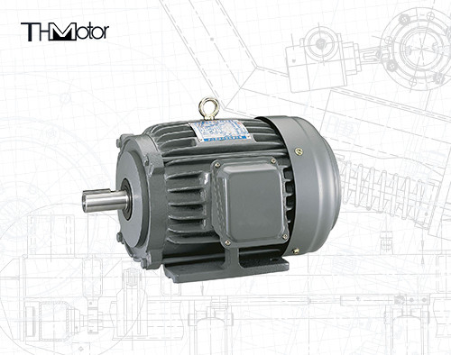 Blower Konveyörleri için NEP TEFC NEMA Yüksek Gerilim DC Motor IP55