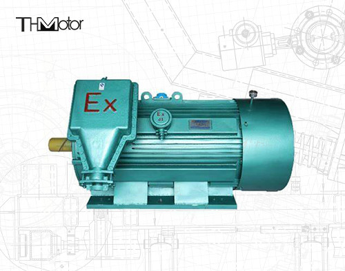 6 Kutuplu Alev Geciktirici Üç Fazlı Asenkron Motor 10000V